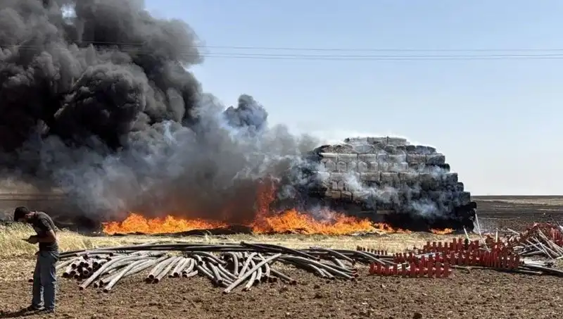 Mardin'de Anız Yangınları: Tarım Alanları ve Ekonomik Etkiler