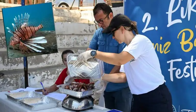 Antalya'da Gerçekleşecek İstilacı Aslan Balığı Avlama Yarışması Heyecanı