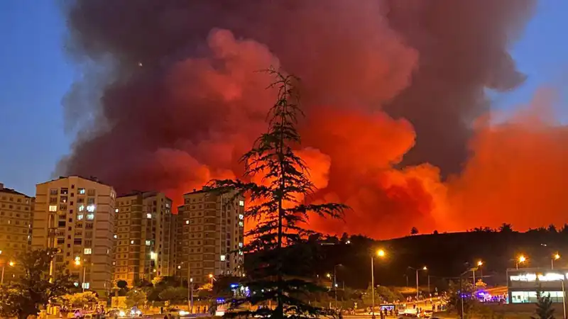 Bursa'da Yangınlar: Şehrin Güzellikleri Tehlike Altında mı?