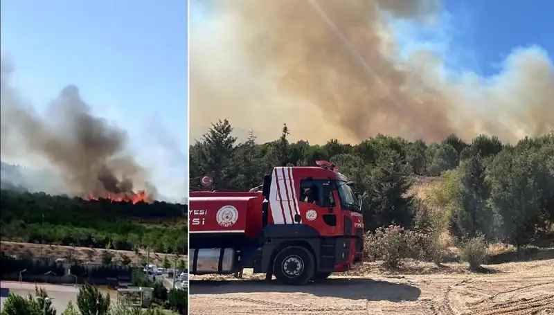 Gebze'de Korkutan Orman Yangını: Yangın Kontrol Altına Alındı mı?
