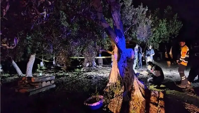Çiftlikteki Baltalı Vahşet: Şok Edici Tutuklama Gerçekleşti