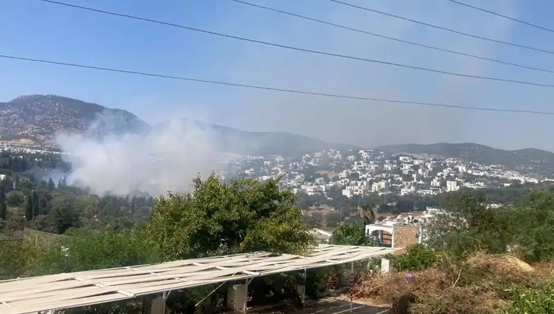 Muğla'daki Orman Yangınları Kontrol Altına Alındı: Son Gelişmeler Neler?