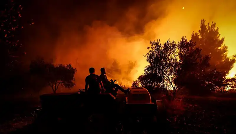 Çanakkale'de Orman Yangını: Aniden Büyüyen Alevler 785 Kişiyi Tahliye Ettirdi