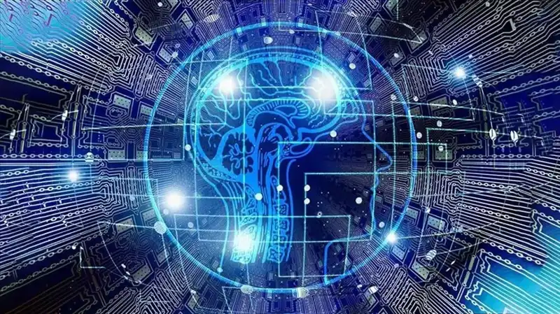 Kripto Para Dünyasında Yeni Tehdit: Bot Sürüleri Ortaya Çıktı