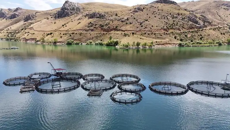 Denizi Olmayan Şehrin Balıkçılık Hedefi: 5 Bin Ton Üretim Planı