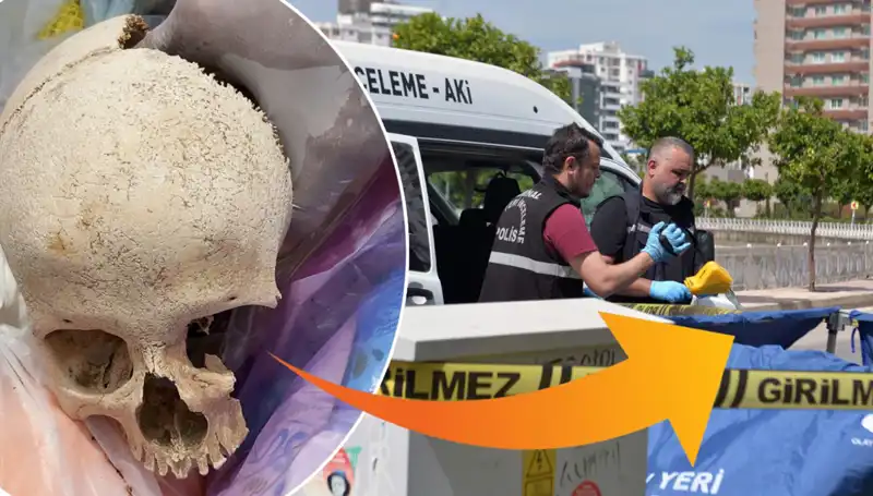 Sitenin Çöpünden Çıkan Kafatası: Şok Edici Gelişmeler ve Gözaltı