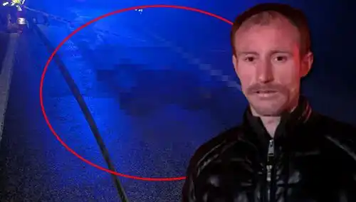 Kamyonet Kazasında Hayvan Meseleleri: Özür Mü, İhmal Mi?