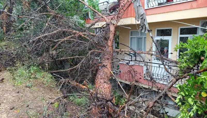 Şiddetli Yağmur Sonrası Bina Çöktü: Olay Anı Gözler Önünde